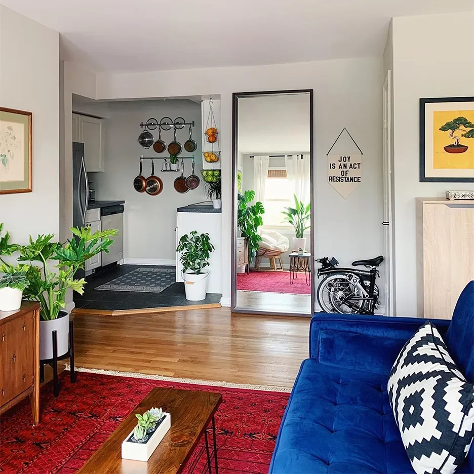 Sharing a One-Bedroom Apartment With My Partner—and a Forest of 46 Plants